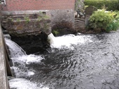 Wehr