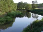 Neetze