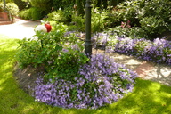 p1010176.jpg