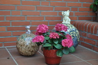 dsc-0034.jpg